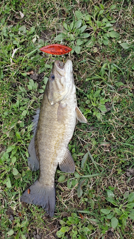 A photo of Doug Sides's catch