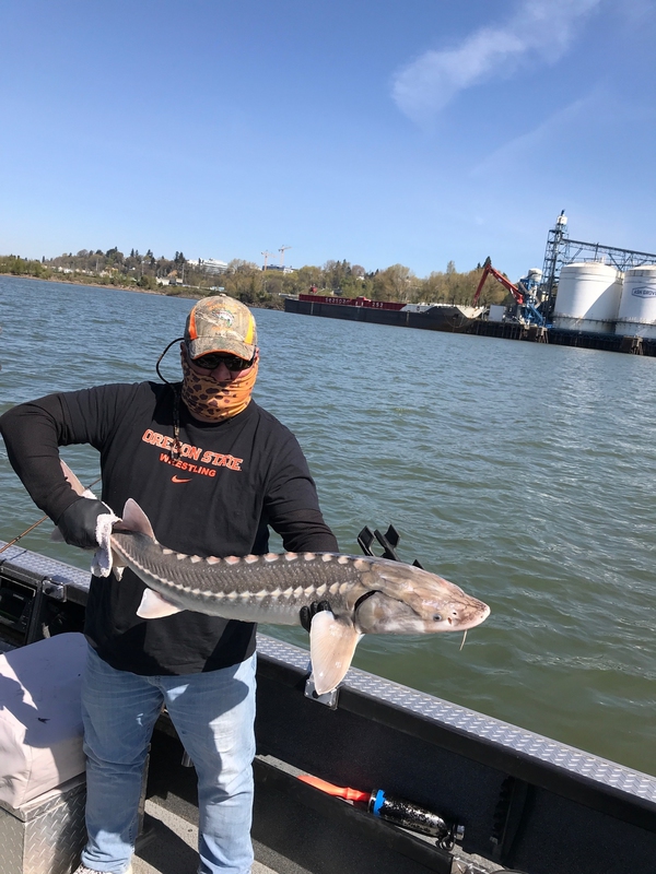 A photo of Anthony  Romero's catch