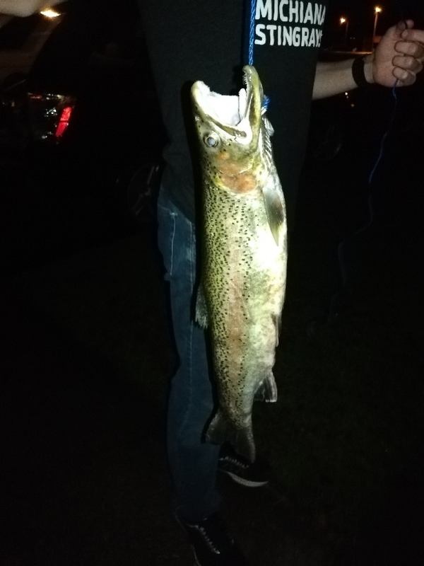 A photo of Daniel Lucas's catch