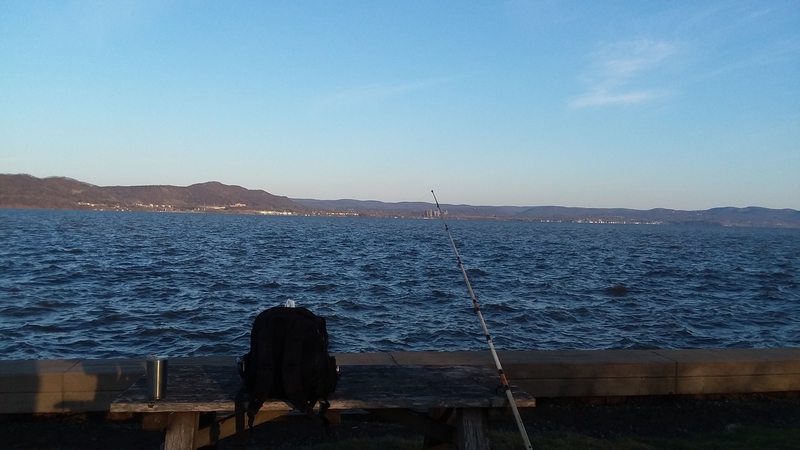A photo of I🐟NY......... 914's catch