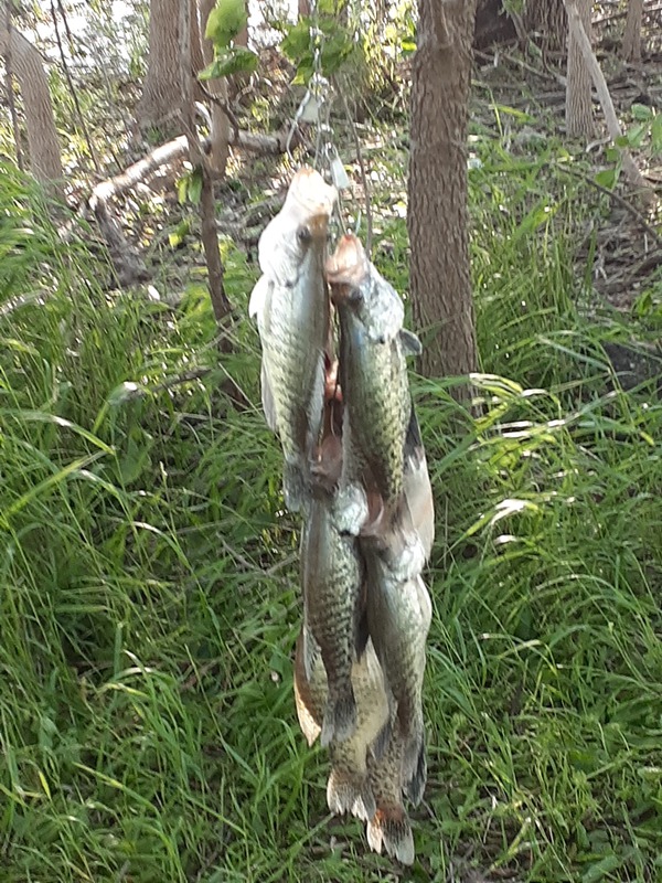 Fishing Lake Ellsworth