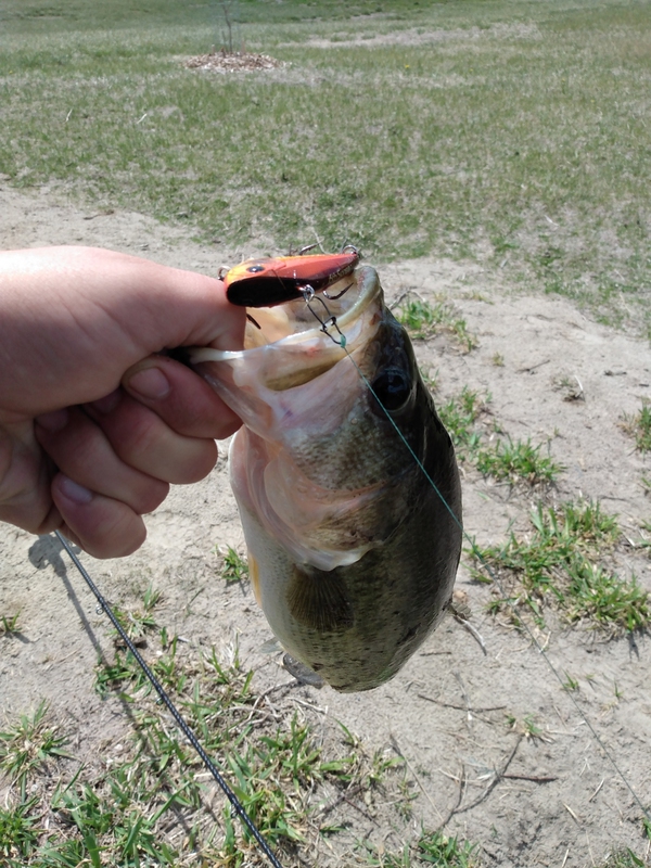A photo of Mike  Dargy's catch