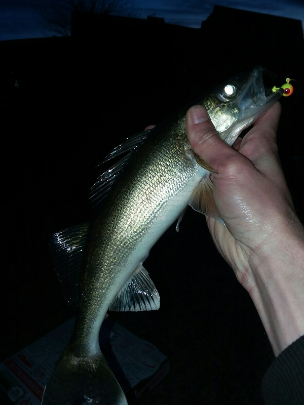 A photo of joseph pfalzgraf's catch