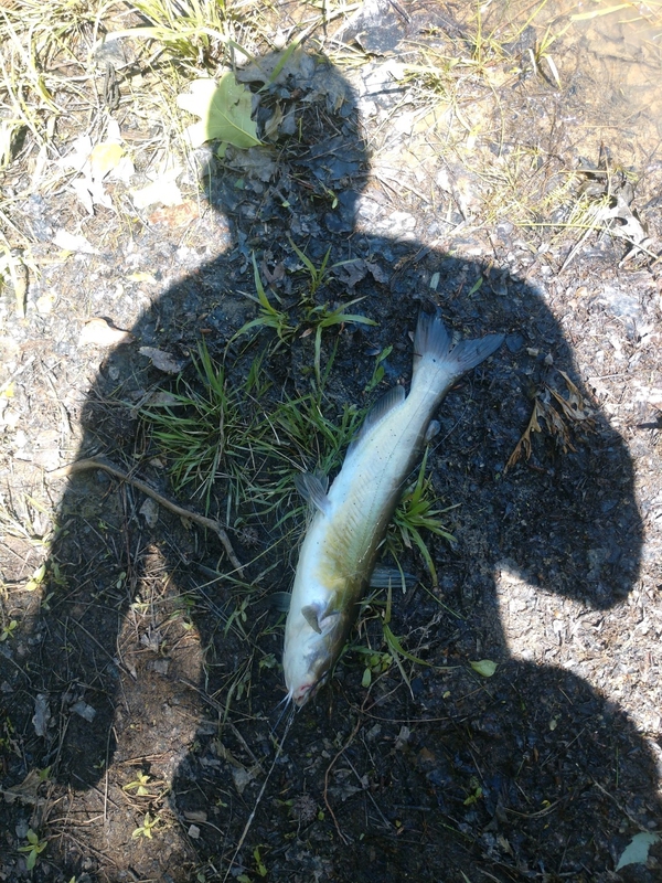 A photo of Aaron Baker's catch