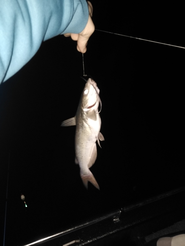 A photo of Jason Satterley's catch