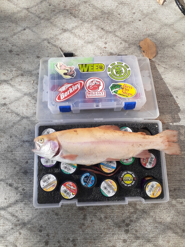 A photo of MATTHEW  Owen's catch