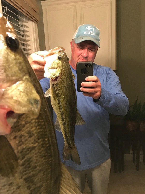 Caught a Largemouth Bass on Lake Conroe using a Berkley Gulp! Alive