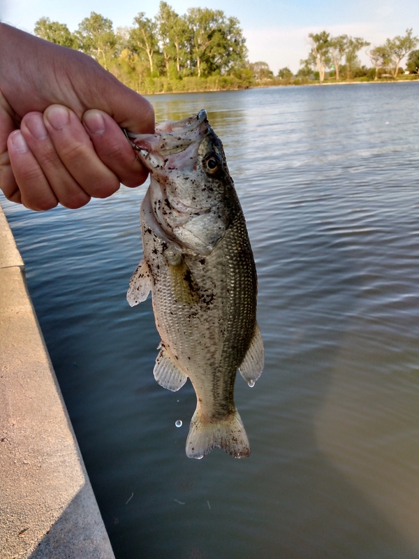 A photo of Mike  Dargy's catch