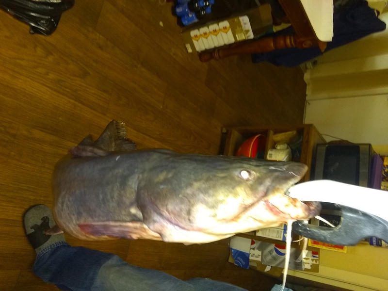 A photo of Karen Van Dommelen's catch
