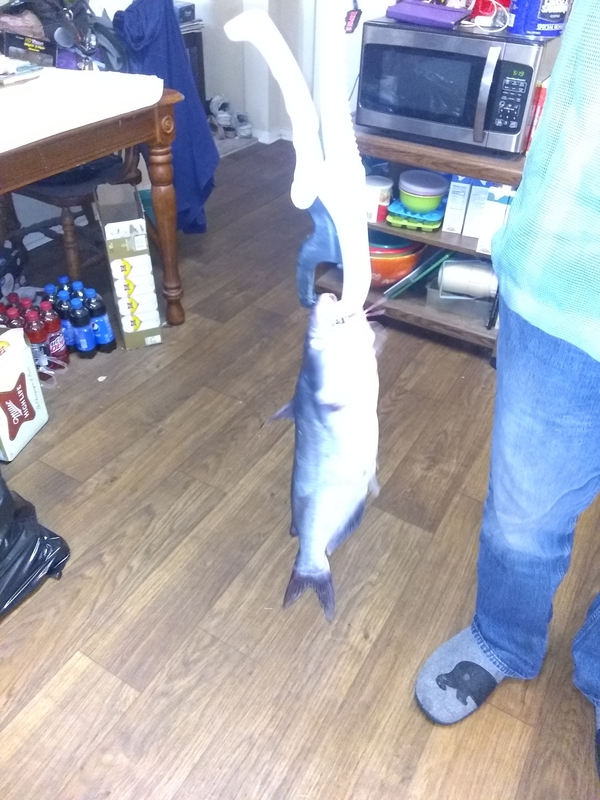 A photo of Karen Van Dommelen's catch