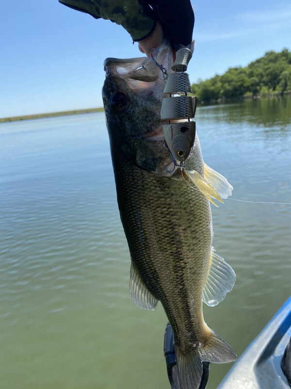 Yarbrough Lake, Texas Fishing Report