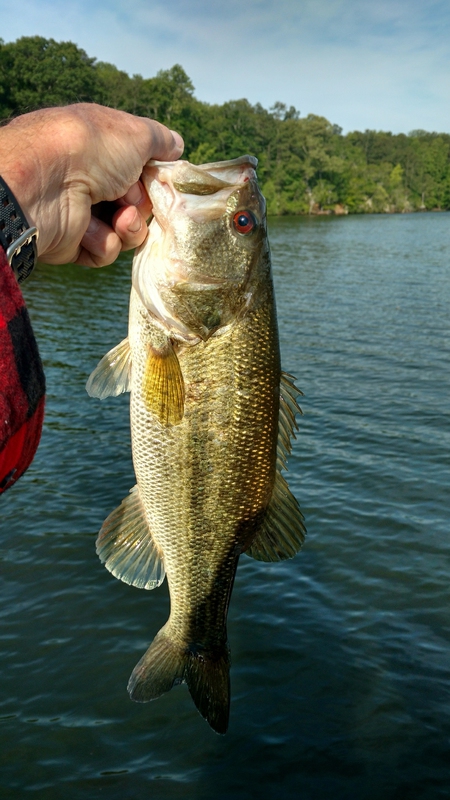 A photo of Donnie whitehurst's catch