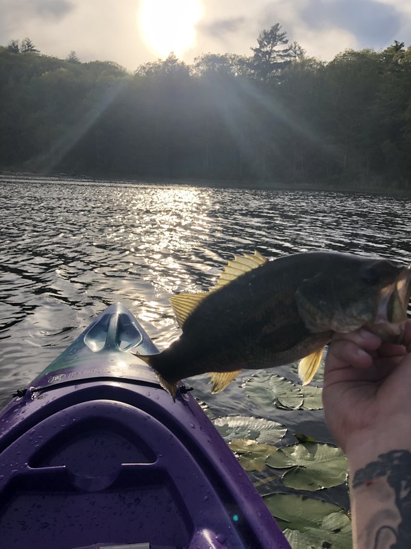 The Winchester Lake Fishing - Winchester Lake State Park