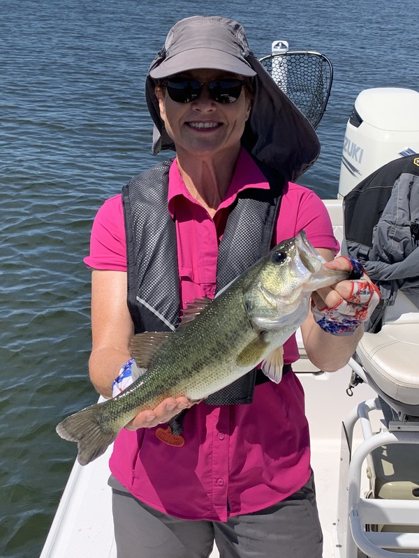 Fishidy