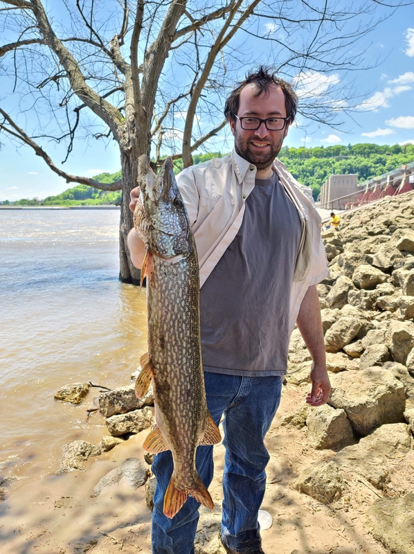 Wabasha Wingdam Fishing Report – Lower Pool 4 - Fishing Reports