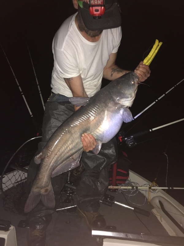 Waterproof Fishing Chart Cherokee Lake Fishing Map - Tennessee Waterproof Fishing Guide Waterproof Map