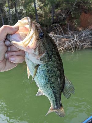 A photo of John Reel's catch