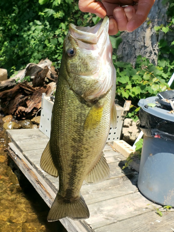 A photo of Amy Kilburg's catch