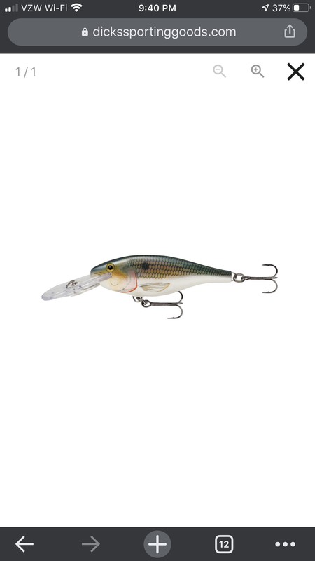 A photo of Stephen Fluck's catch