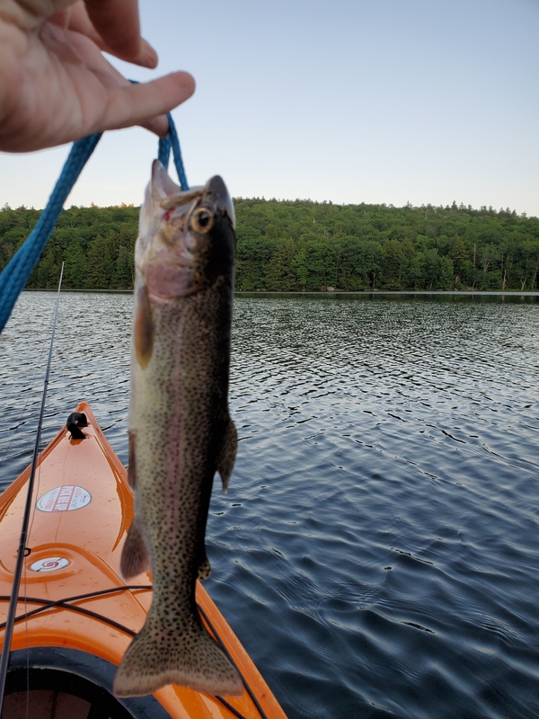 A photo of Andrew Martin's catch