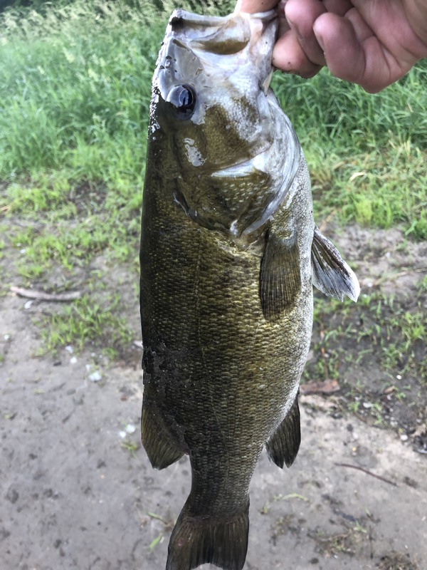 A photo of Michael Wessels's catch
