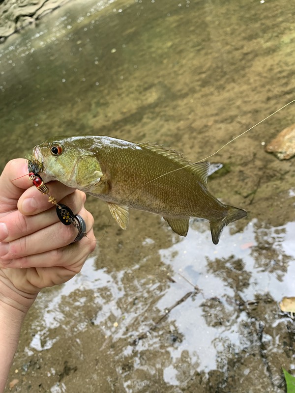 A photo of ryan kwiecinski's catch