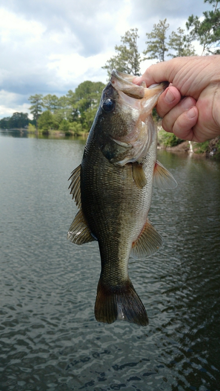 A photo of Donnie whitehurst's catch