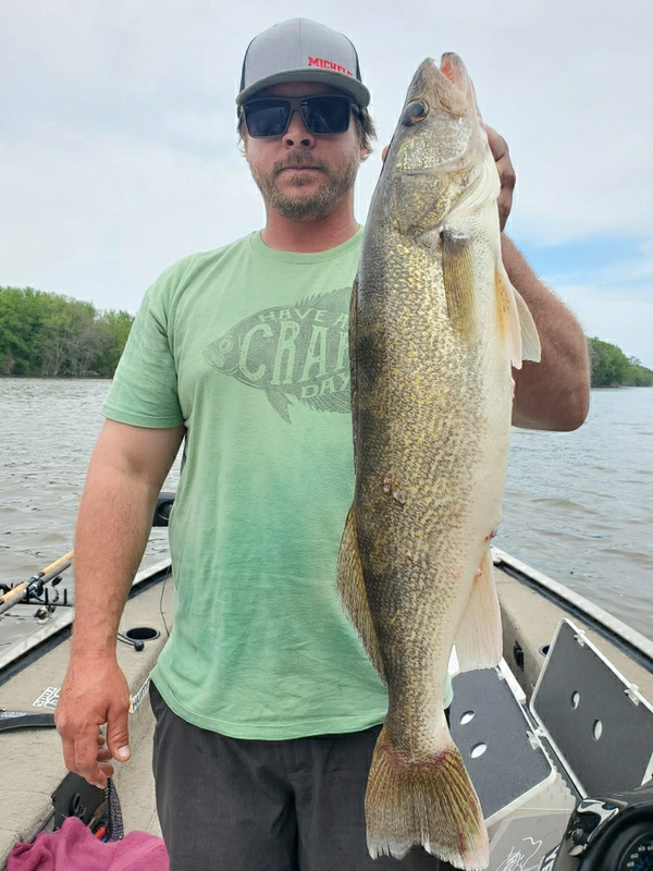 Pool 14 BIG Male! - Mississippi River – Walleye - Mississippi River –  Walleye