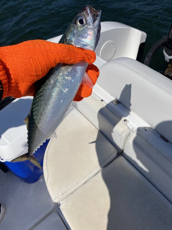 A photo of Greg Powers's catch