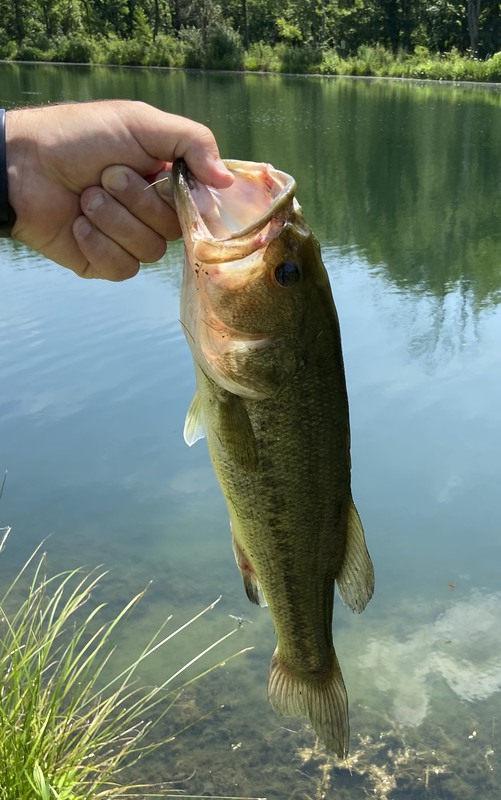 A photo of Jared Yohe's catch