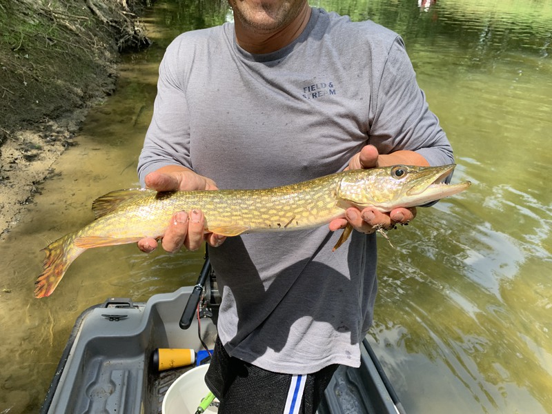 Nimisila Reservoir Fishing Map Caught A Northern Pike On Nimisila Reservoir