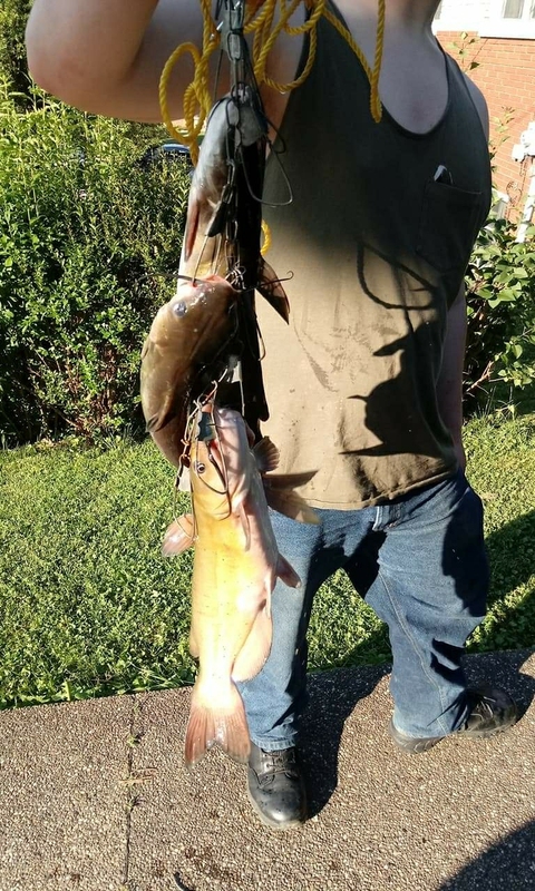 A photo of Darren Ellis's catch