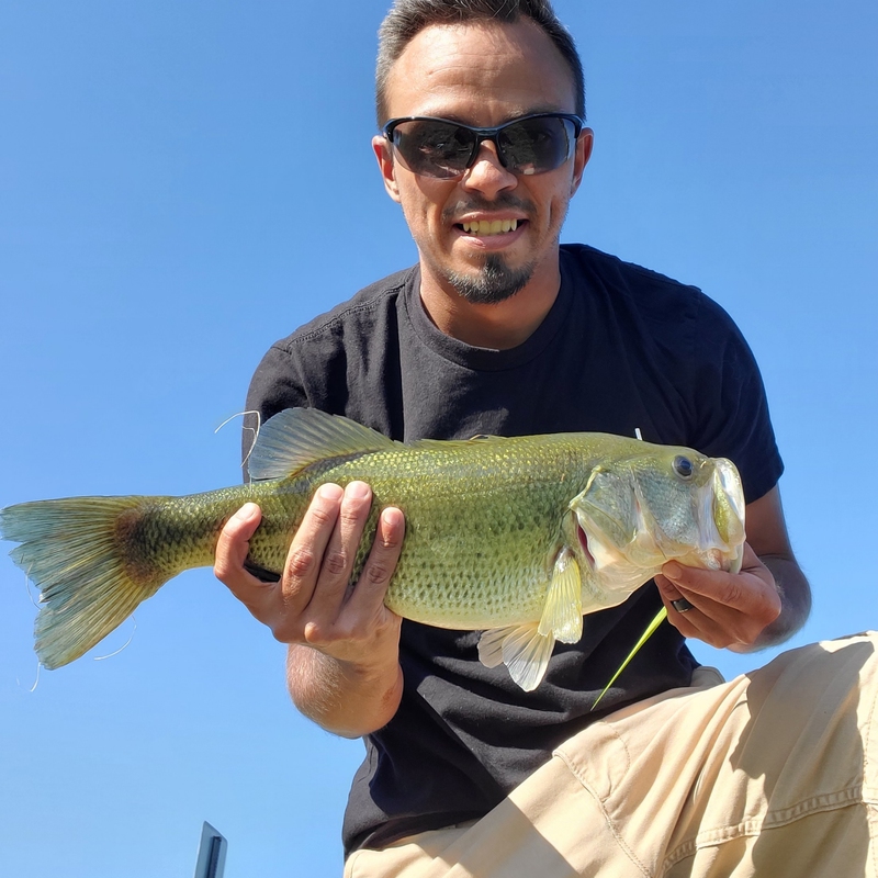 A photo of Michael Ramirez Jr's catch