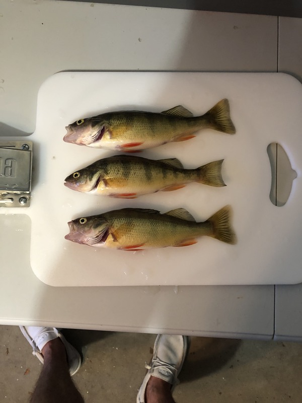 A photo of Eric Brazeau's catch