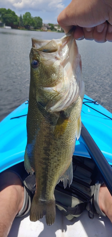 A photo of Alex Garcia's catch