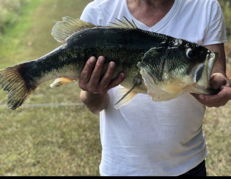 A photo of John Ankrom's catch