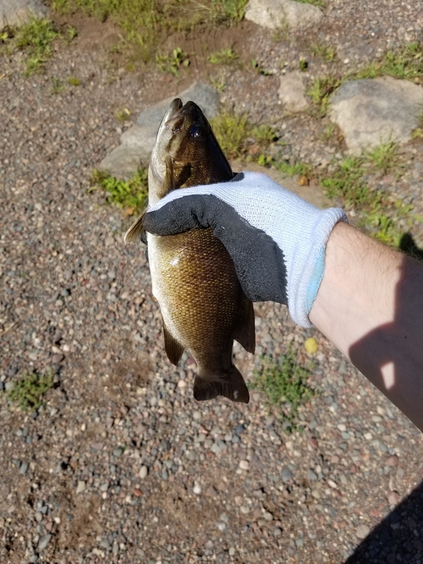 A photo of Kyle Keller's catch