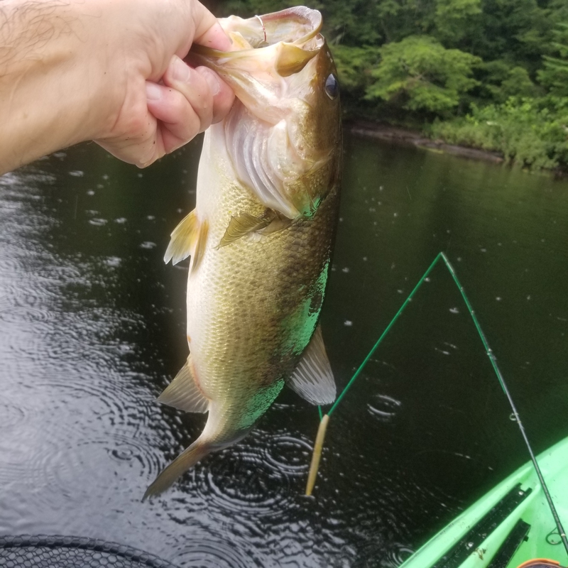 A photo of Bill Brottman's catch