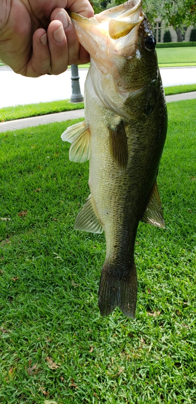 A photo of Scott Kearley's catch