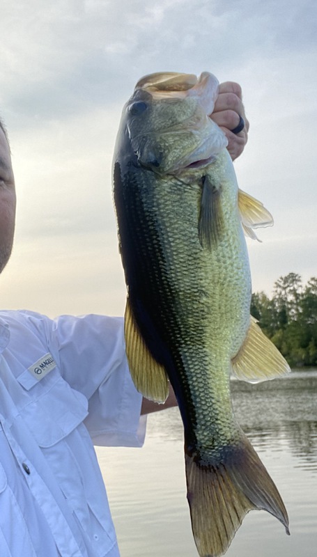 A photo of Mike  Honcho 's catch
