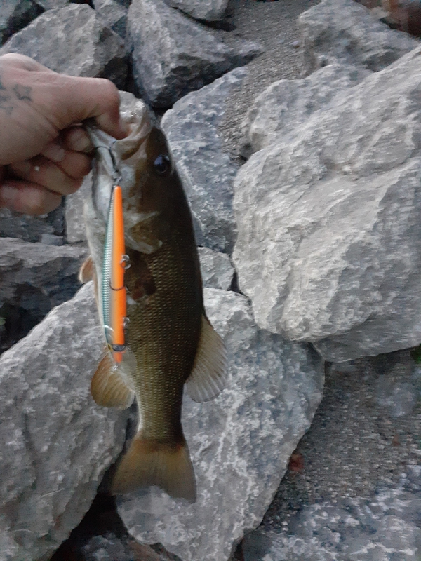 A photo of Jay Em Such's catch