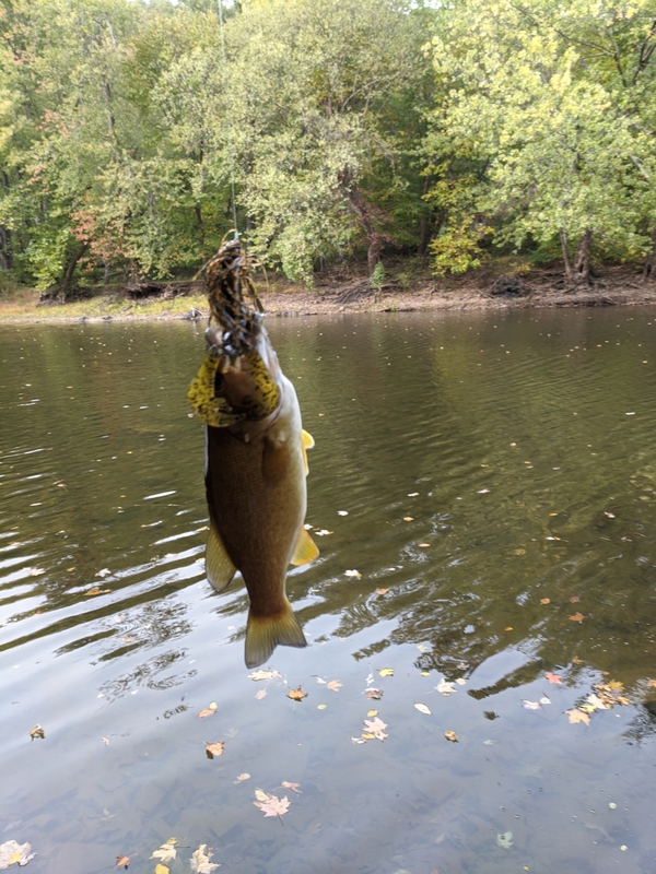 A photo of Connor M's catch