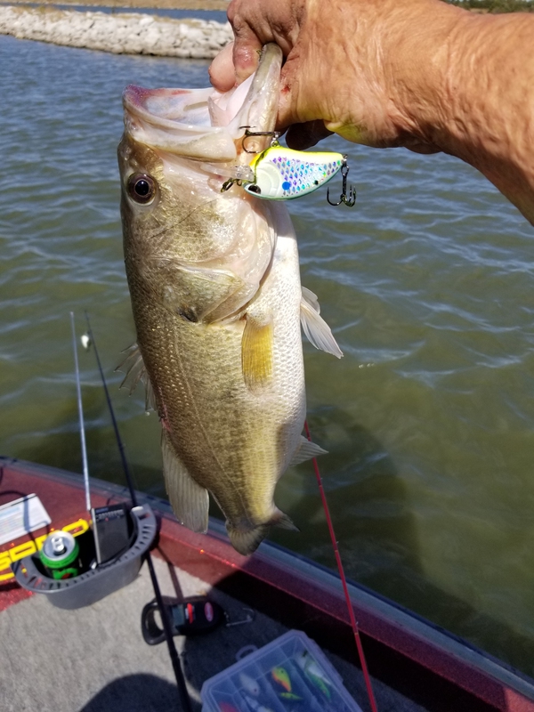 A photo of John Creek's catch