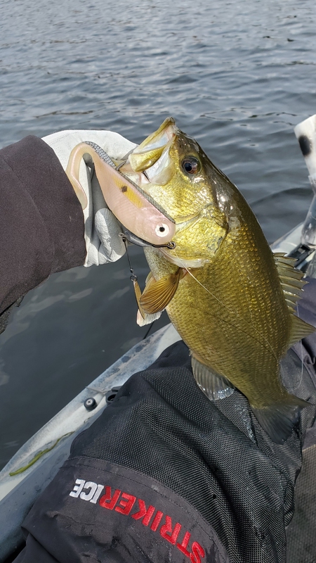 A photo of Asian Bucket  Man's catch