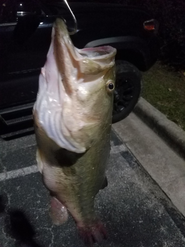 A photo of Nathan Morgan's catch