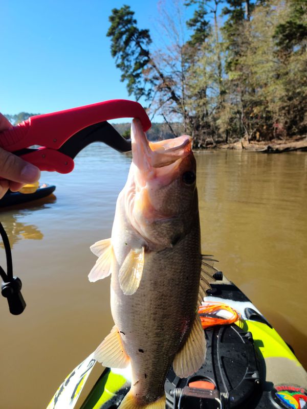 A photo of Kris Mullenberg's catch