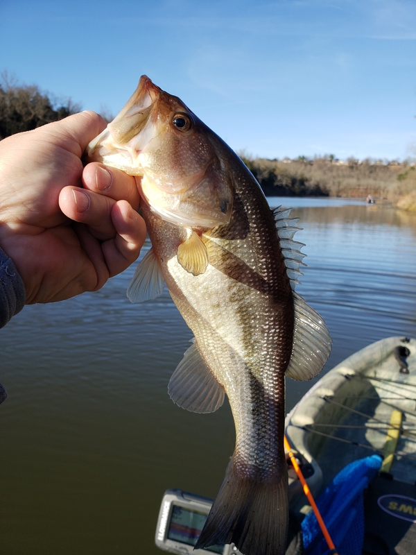 A photo of Rick Lawson's catch
