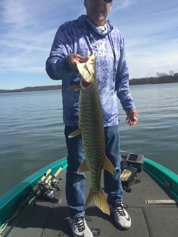 A photo of James Englert's catch