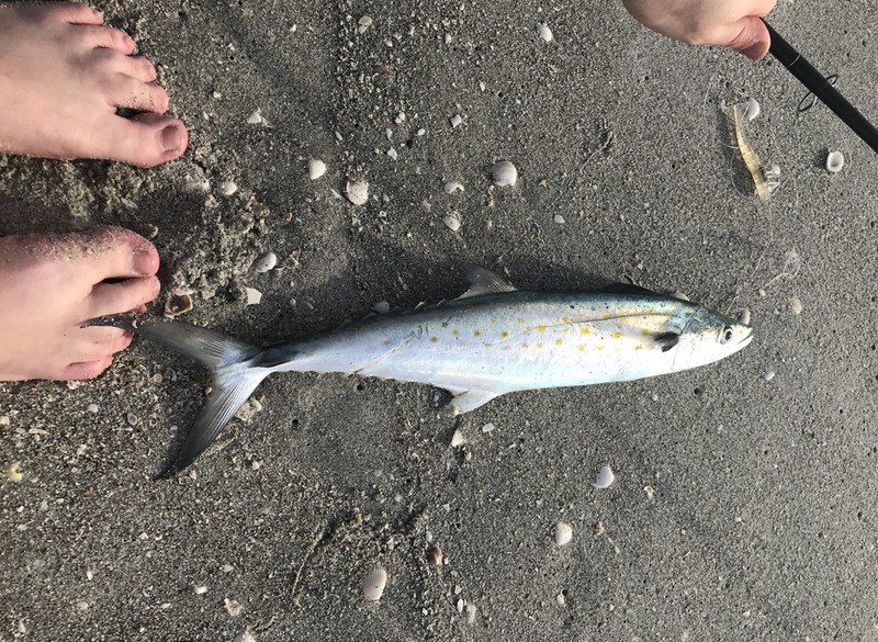 A photo of Tim Mac's catch