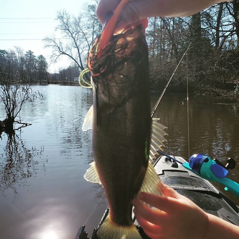A photo of Jeremy Myers 's catch